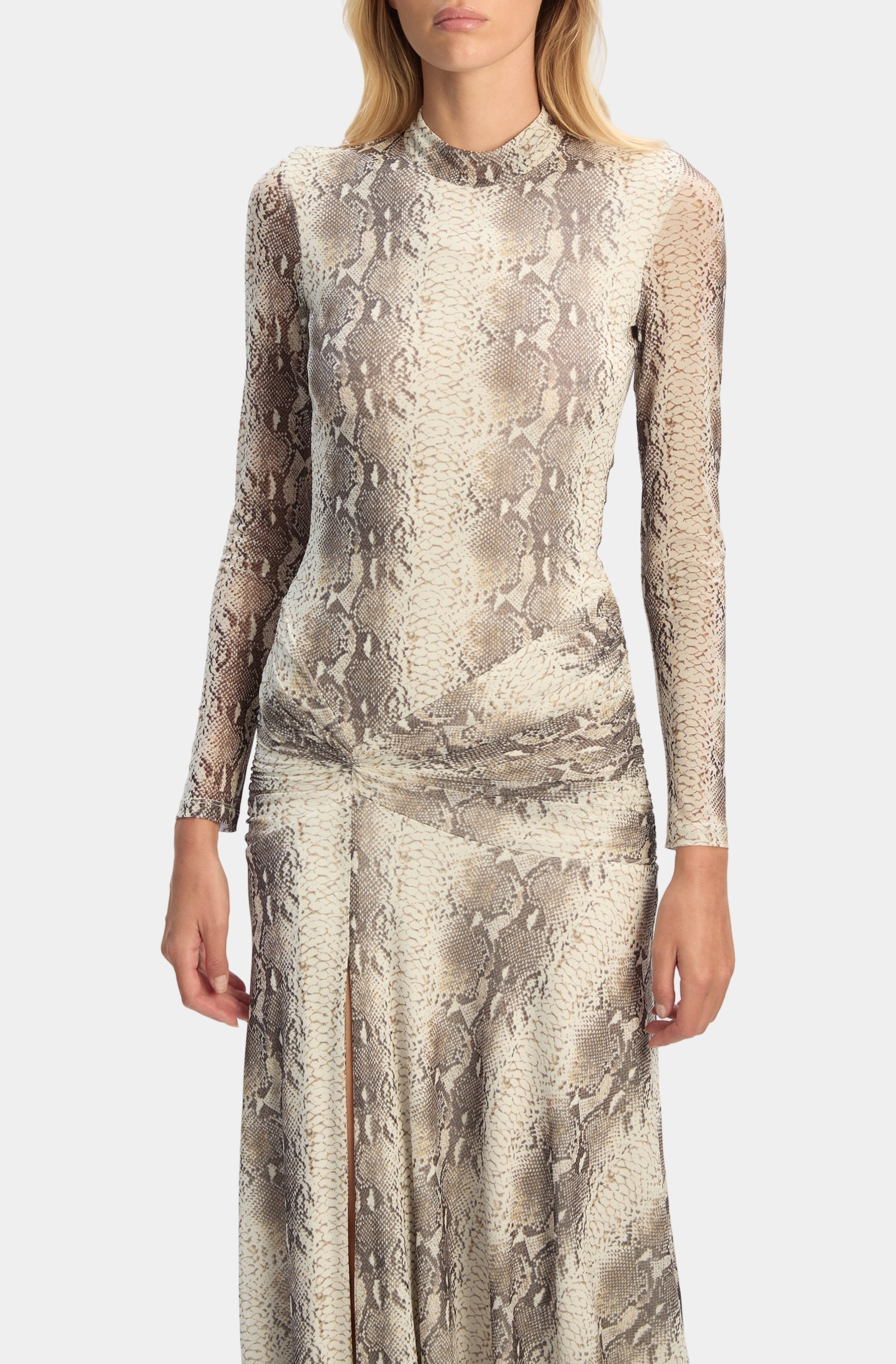 Lea Printed Mesh Dress