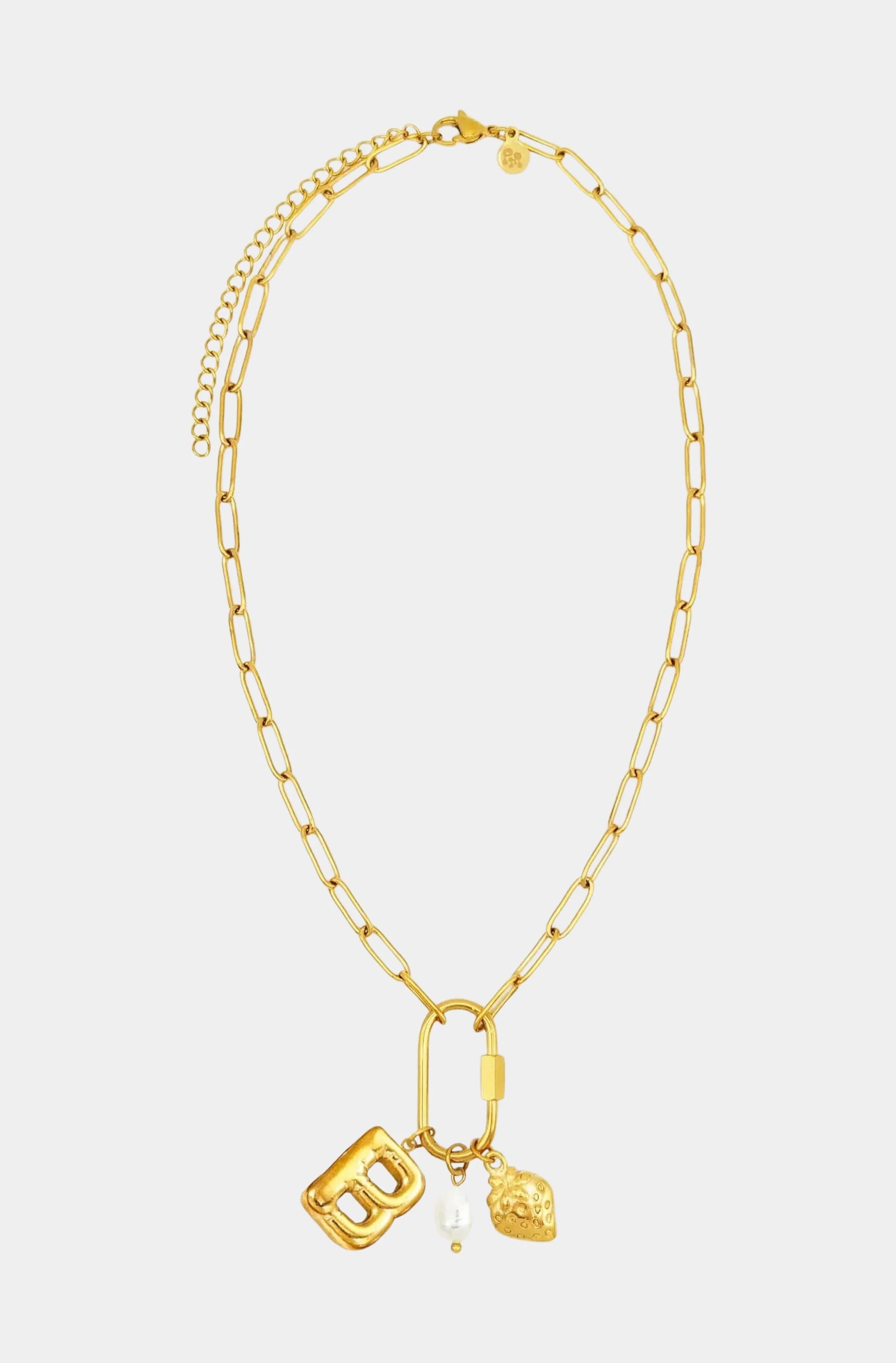 Carabiner Initial Charm Necklace