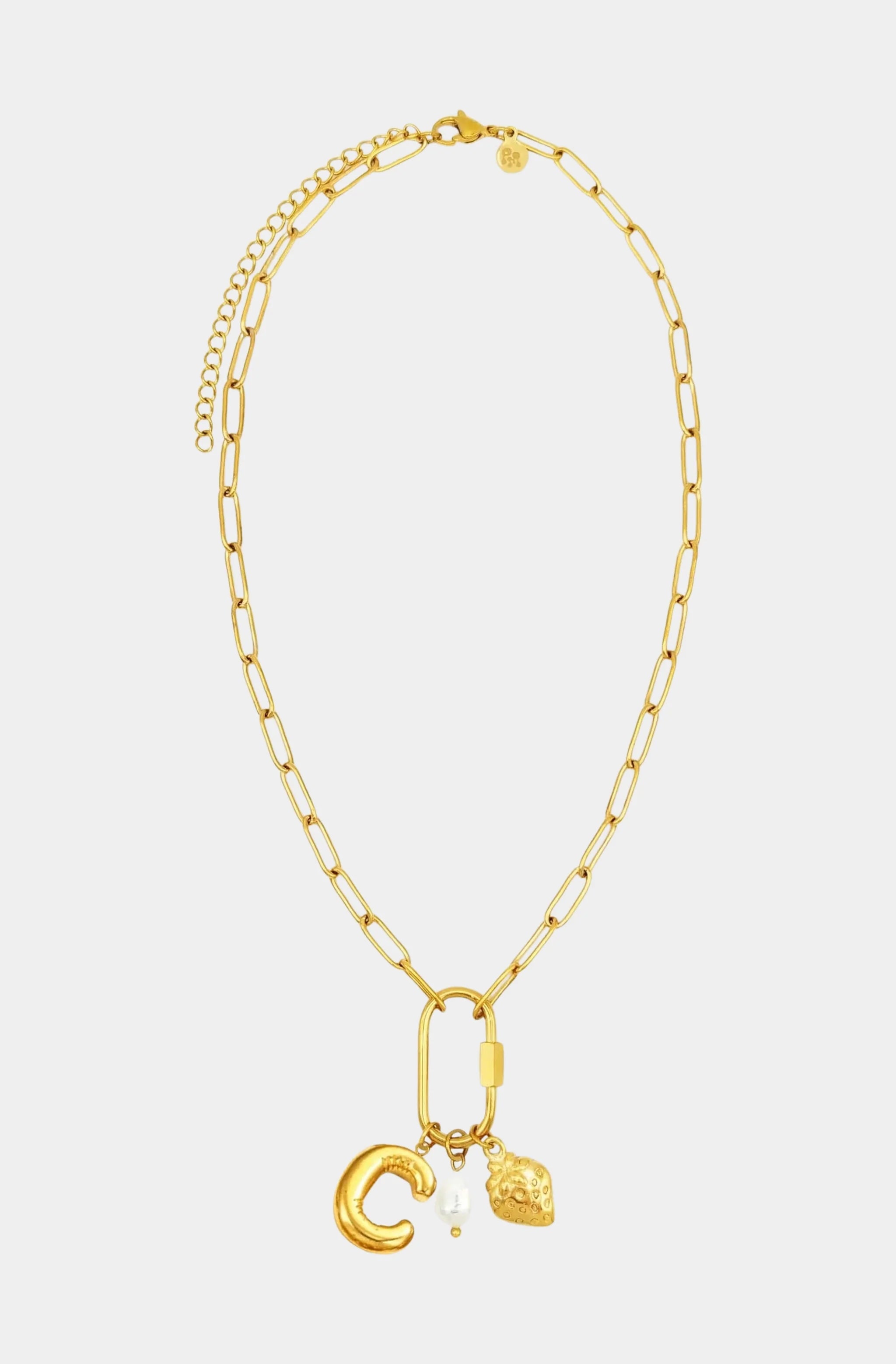 Carabiner Initial Charm Necklace
