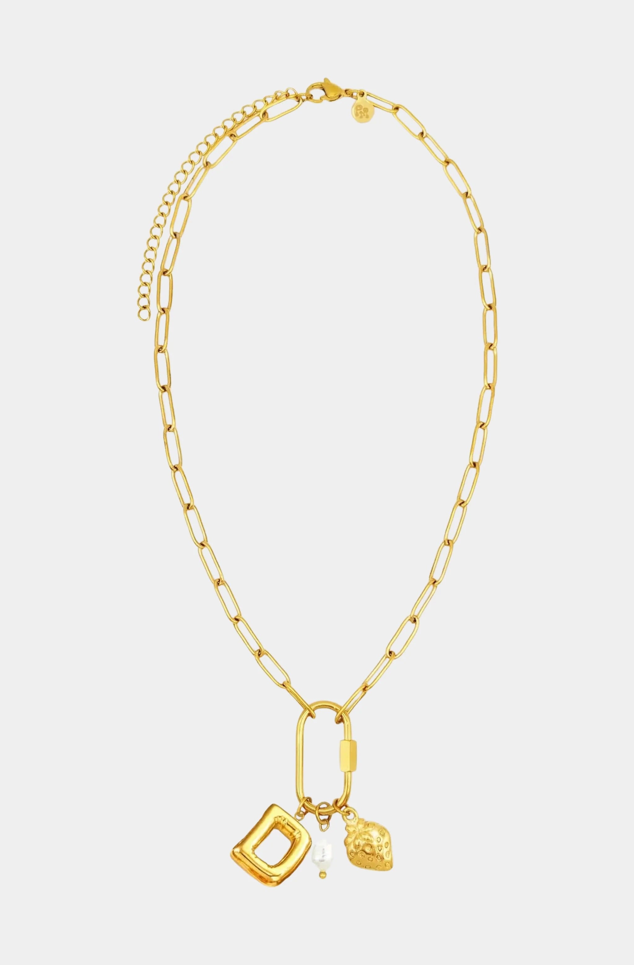 Carabiner Initial Charm Necklace