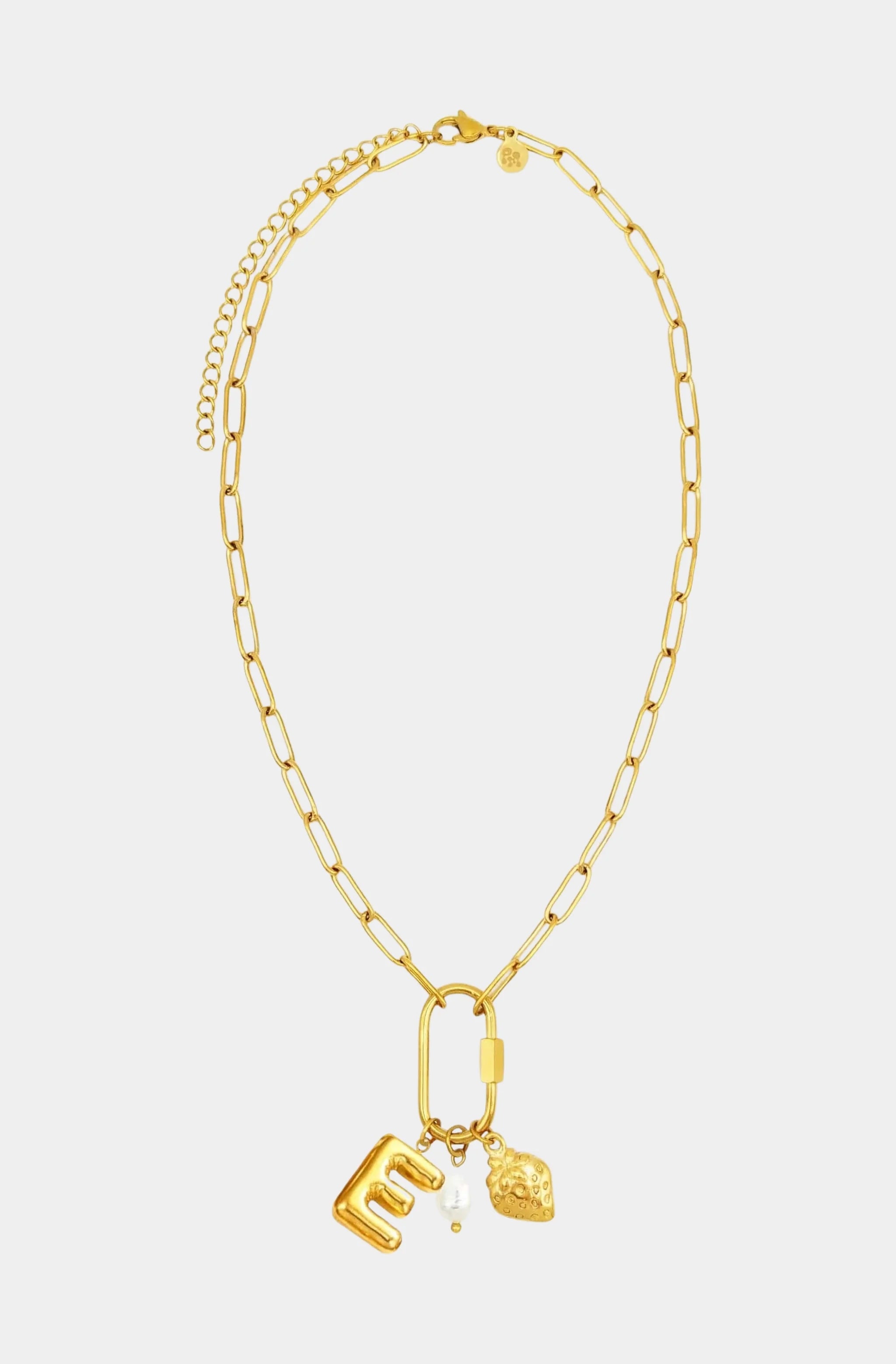 Carabiner Initial Charm Necklace