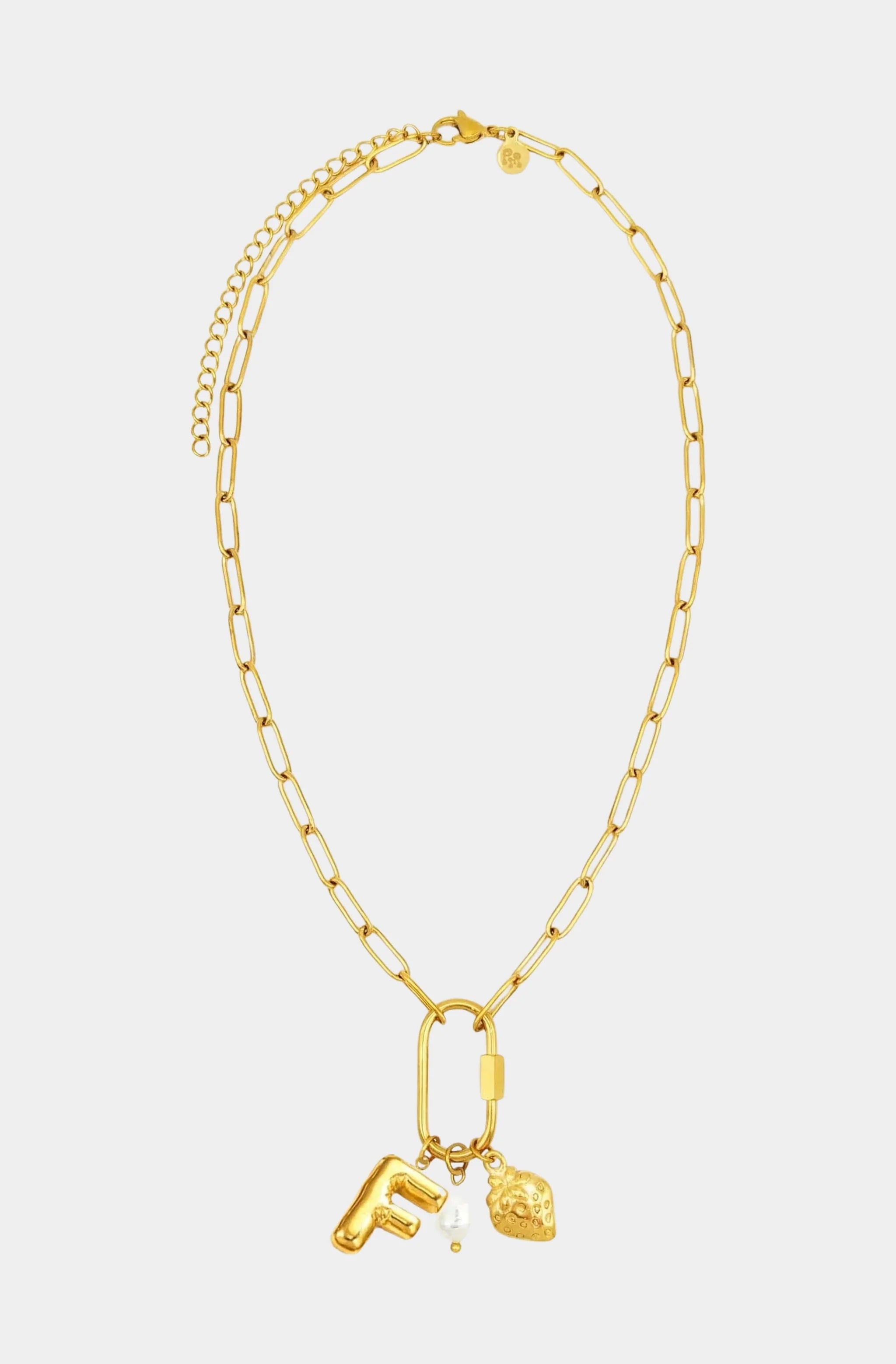 Carabiner Initial Charm Necklace