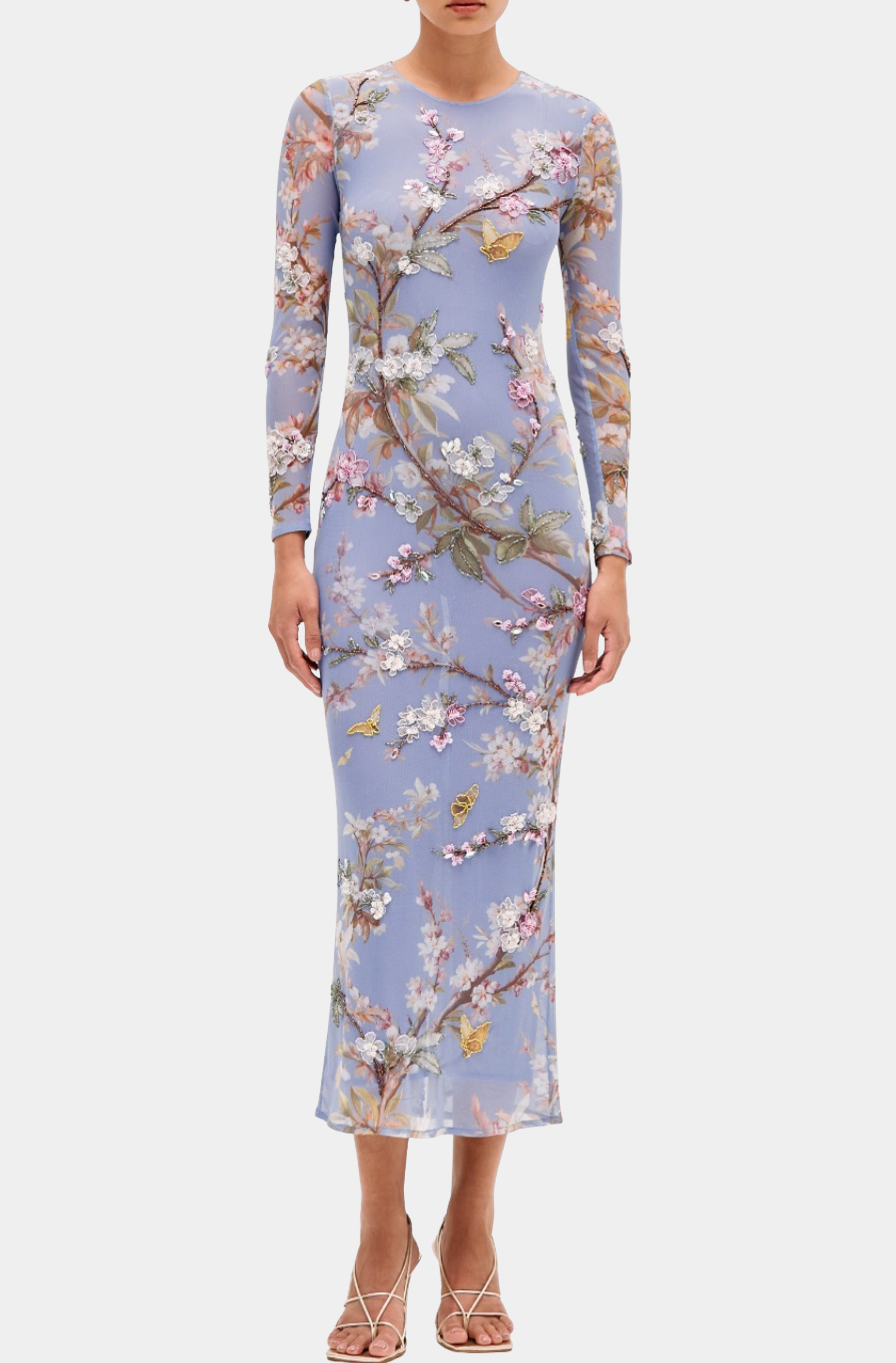 Delicata Embroidered Tulle Midi Dress